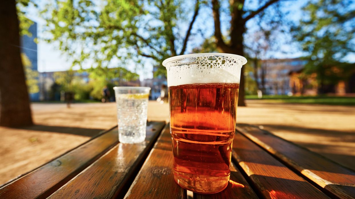 <p>A pint in a pub garden</p>