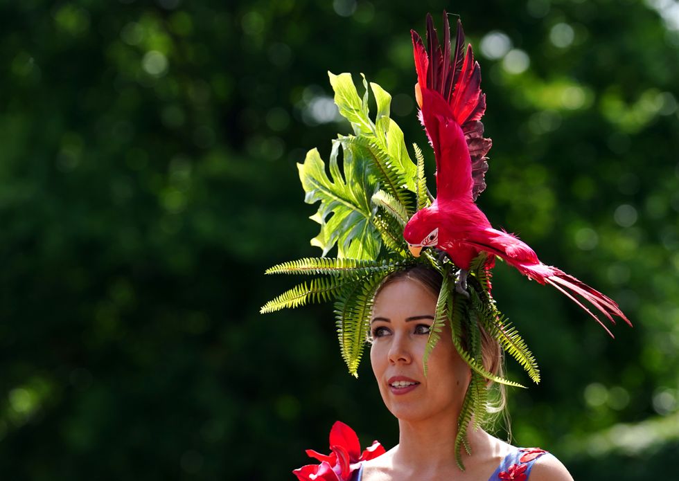 Flamboyant racegoers show off creative hats as sun shines on Royal Ascot