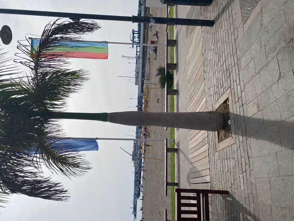 A rock sitting beneath a palm tree in Tenerife