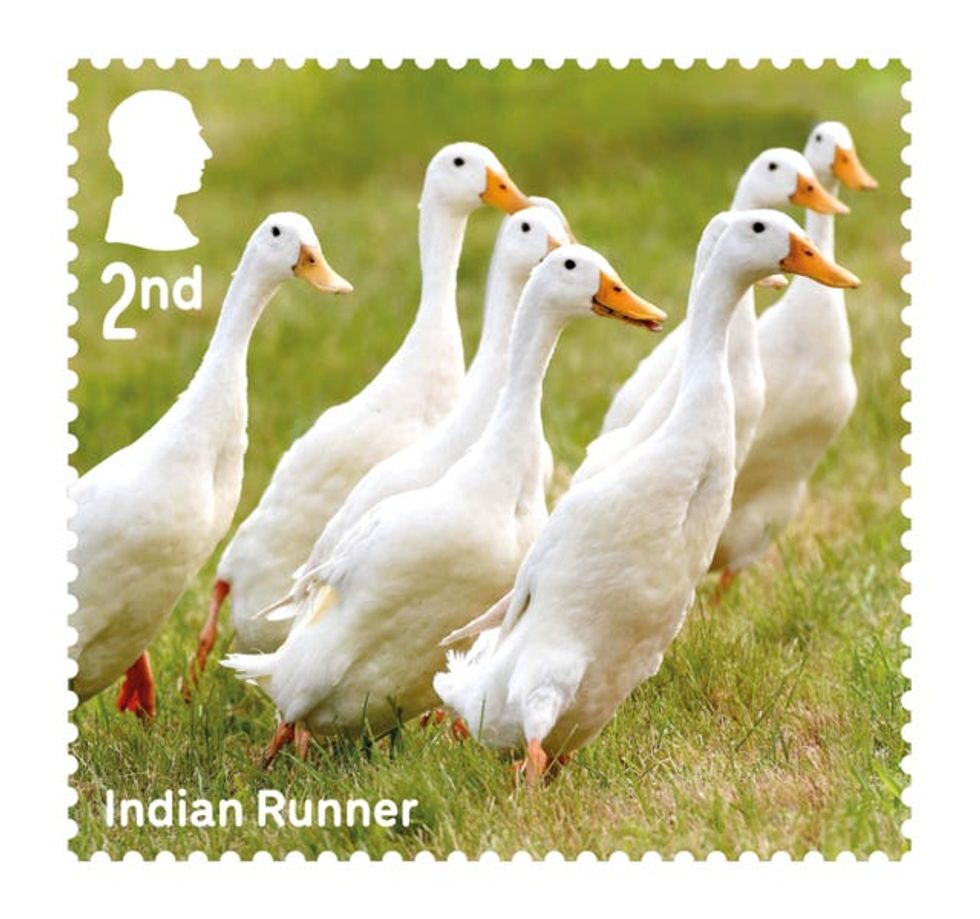 A Royal Mail stamp showing seven Indian runners