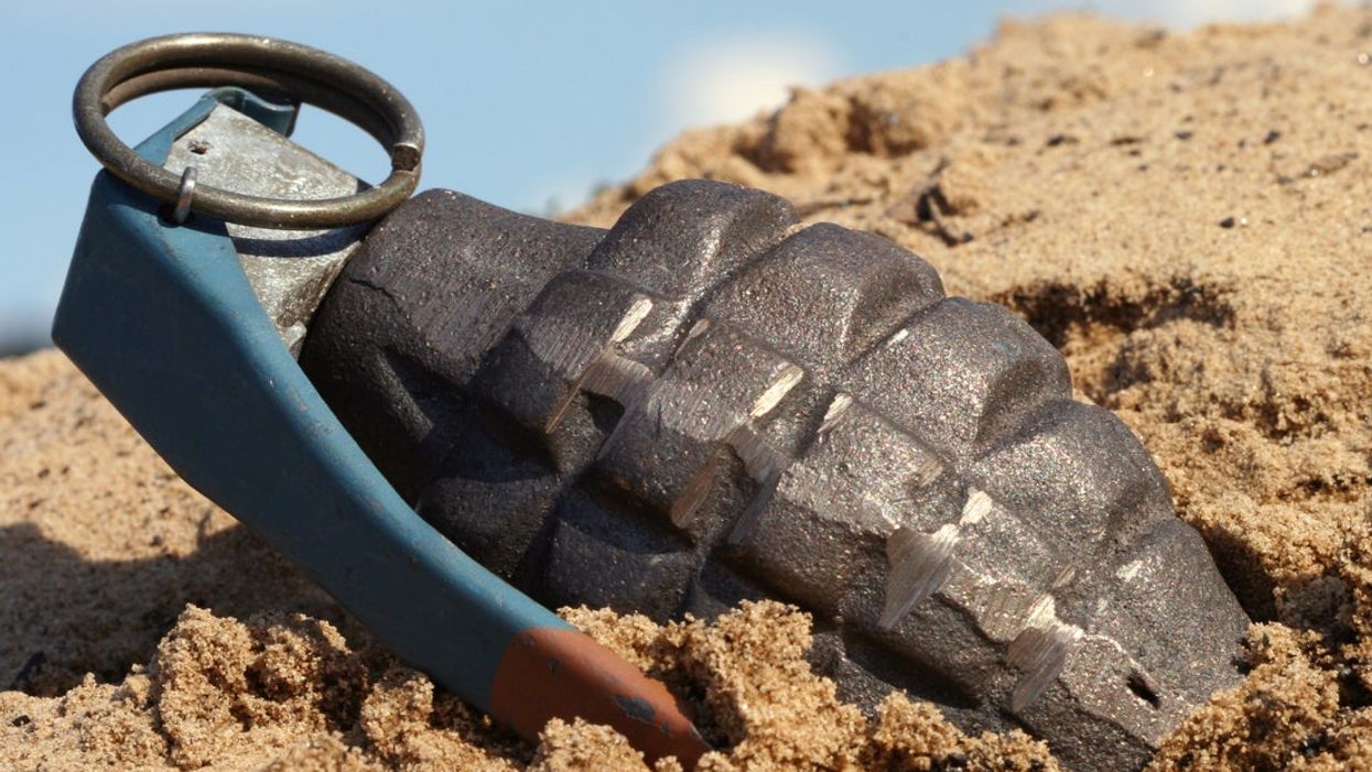 <p>A runner in Germany discovered what she thought was a hand grenade but it merely a sex toy</p>