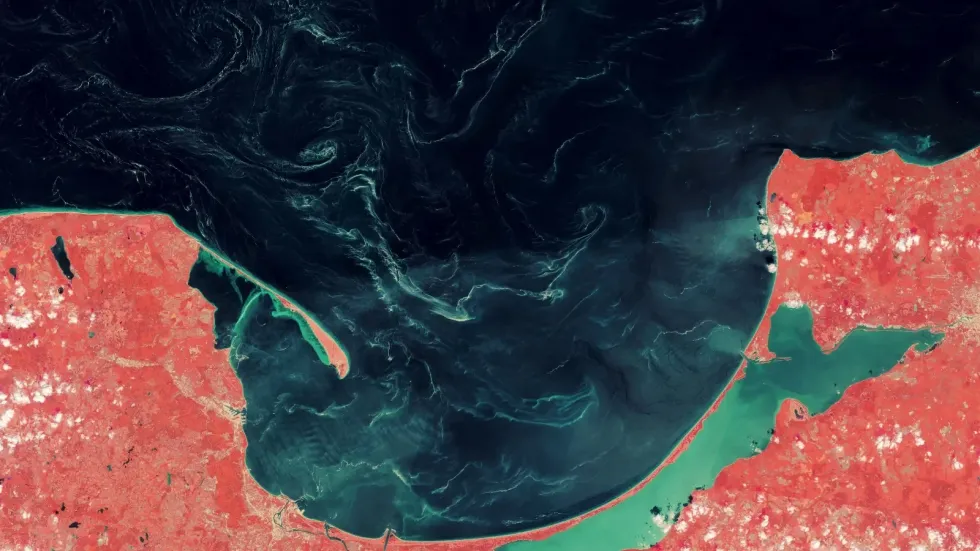 A satellite image showing swirling 'slicks' in the Baltic Sea, off the Gulf of Gdansk in Poland.