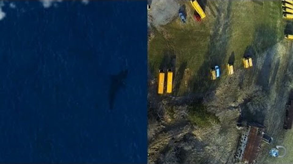 Satellite image has conspiracy theorists convinced Megalodon's still exist