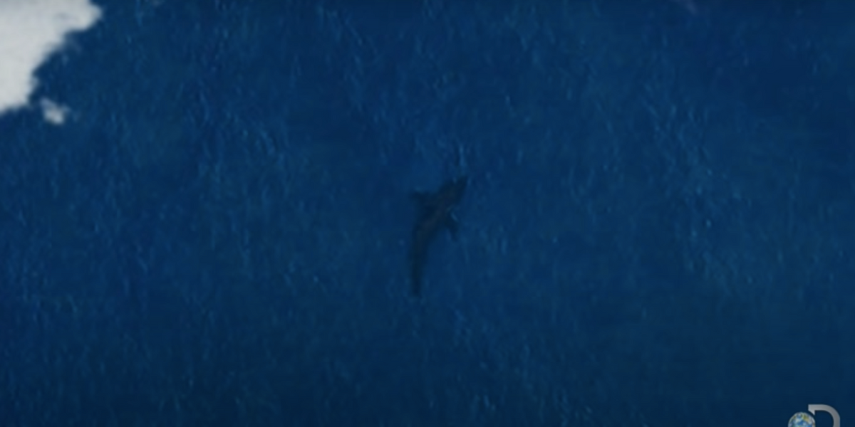 Satellite image has conspiracy theorists convinced Megaladon's still