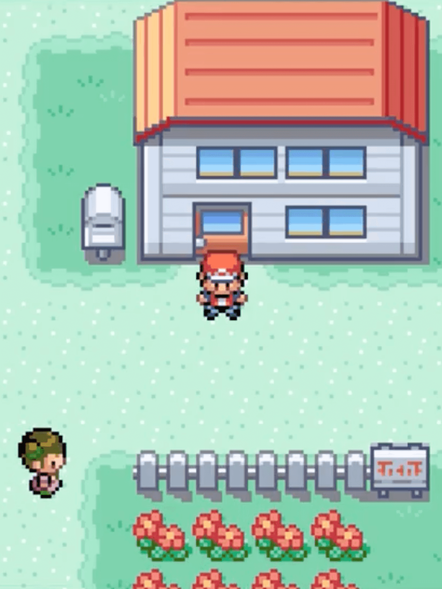 A screenshot from Pokemon FireRed and LeafGreen