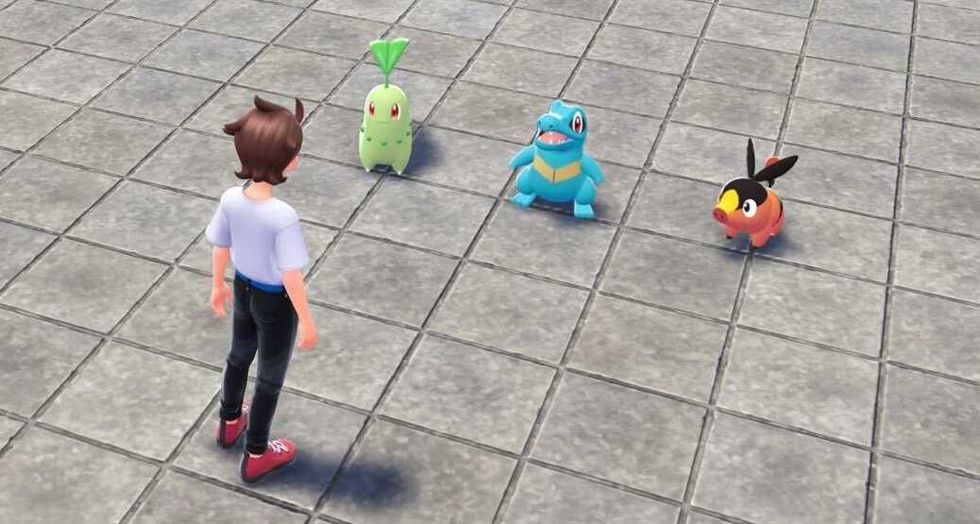 A screenshot from Pokemon Legends Z-A