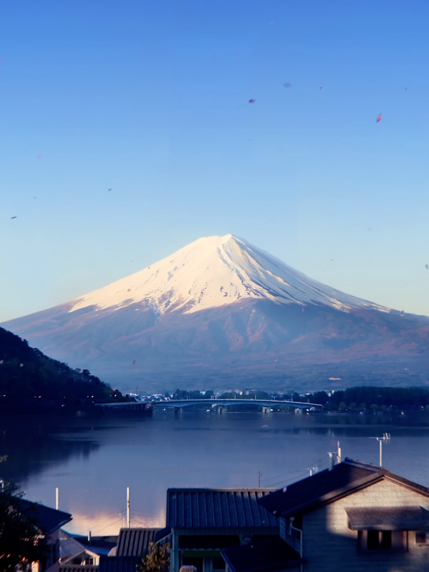 A screenshot from the Forza Horizon 6 reveal trailer