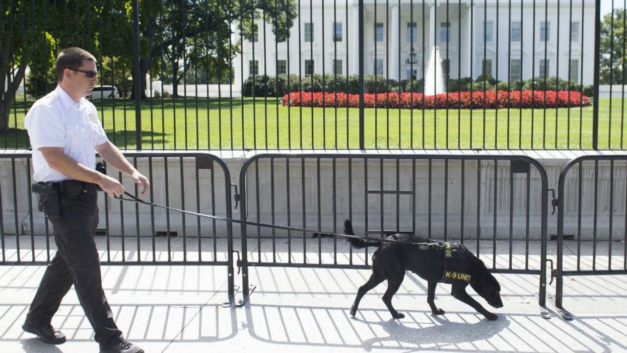 A secret service officer with a K-9 police dog