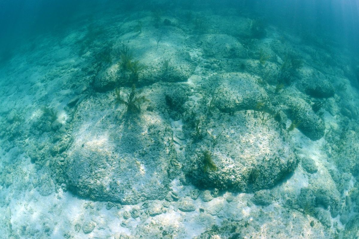 A section of the so-called Bimini Road rock formation