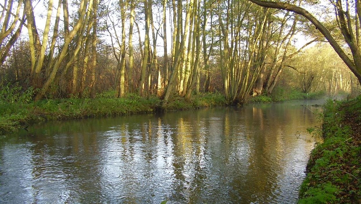 A section of the Upper Bure chalk stream in Norfolk is to be restored to its former glory in a conservation project (National Trust/PA)