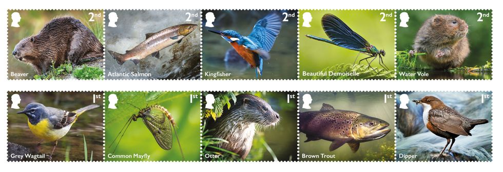 New stamps issued featuring birds, mammals, insects and fish