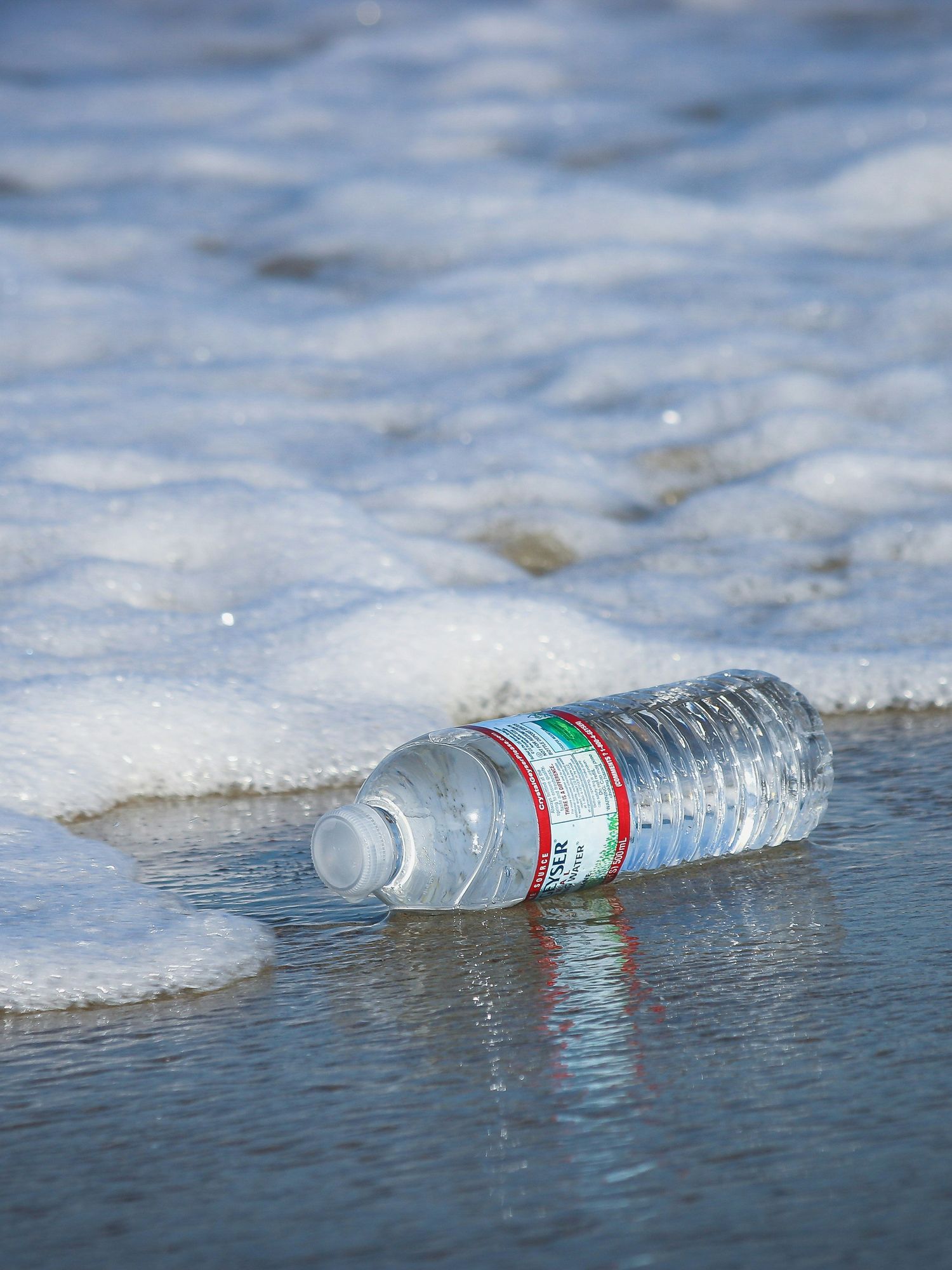 A single-use plastic bottle by the ocean