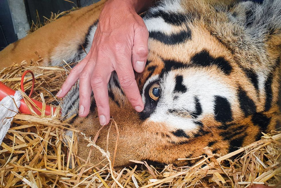 A specialist checks for signs of consciousness (Danny Lawson/PA)