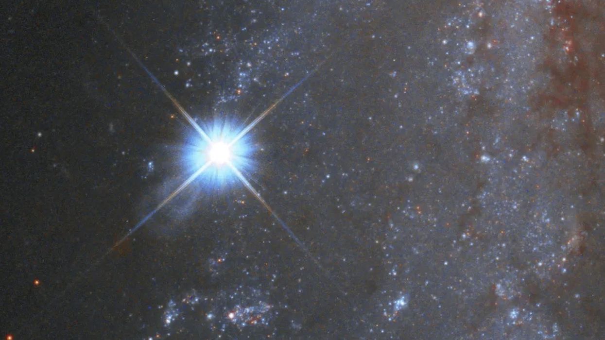 Watch the moment a star brightly 'self-detonates' in NASA video