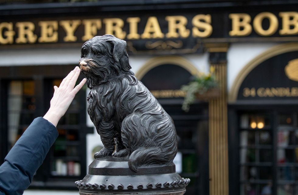 Greyfriars Bobby may have been a different breed of dog, book suggests