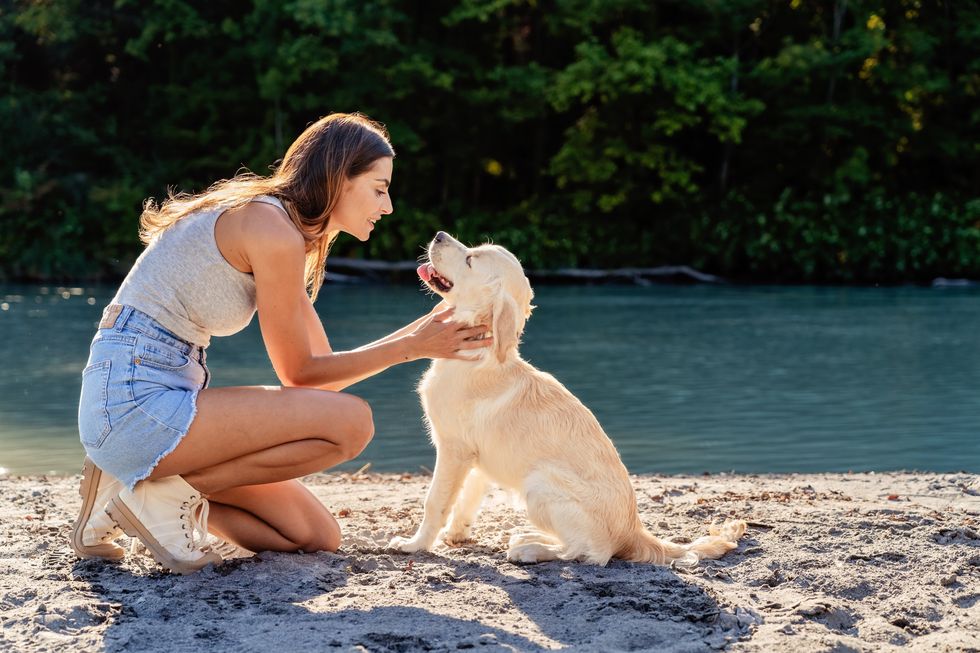 A stock image of a woman looking at her dog