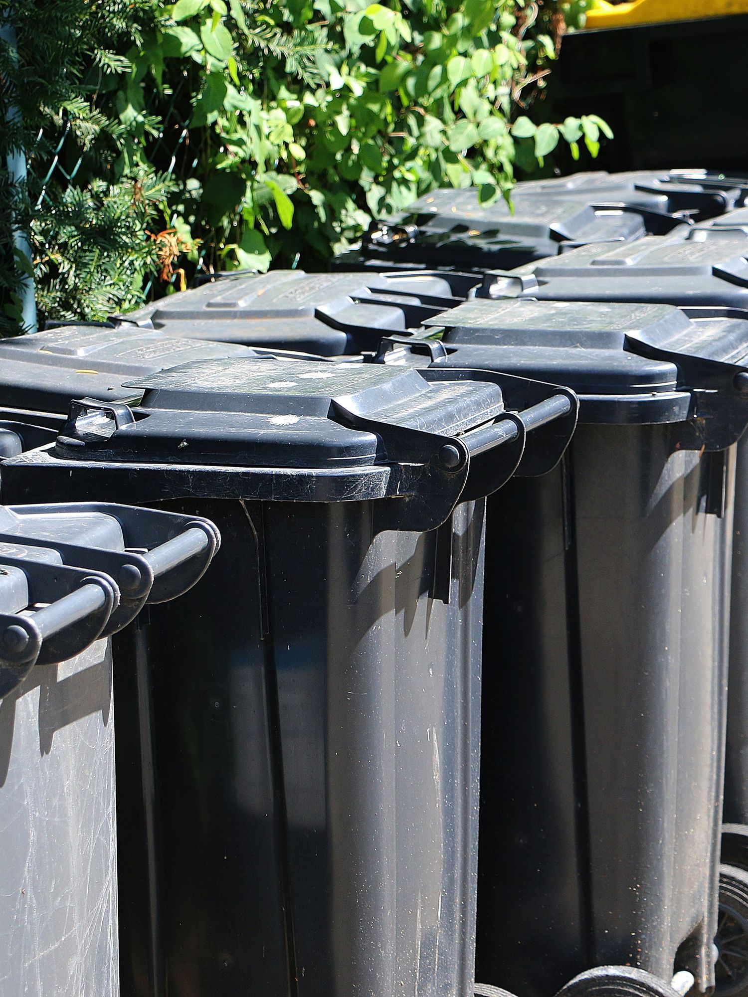 New York City gets ridiculed for only just introducing 'trash revolution' wheelie bins