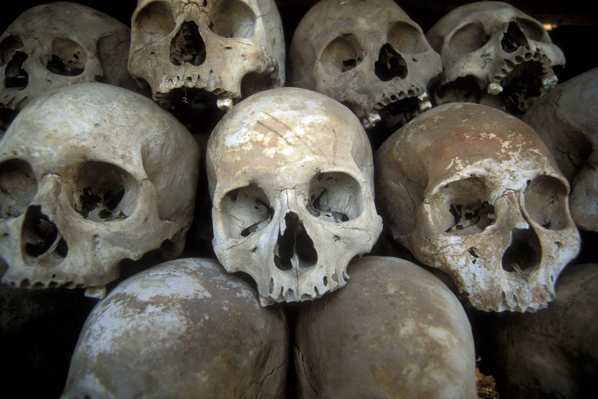 A stock image of human skulls