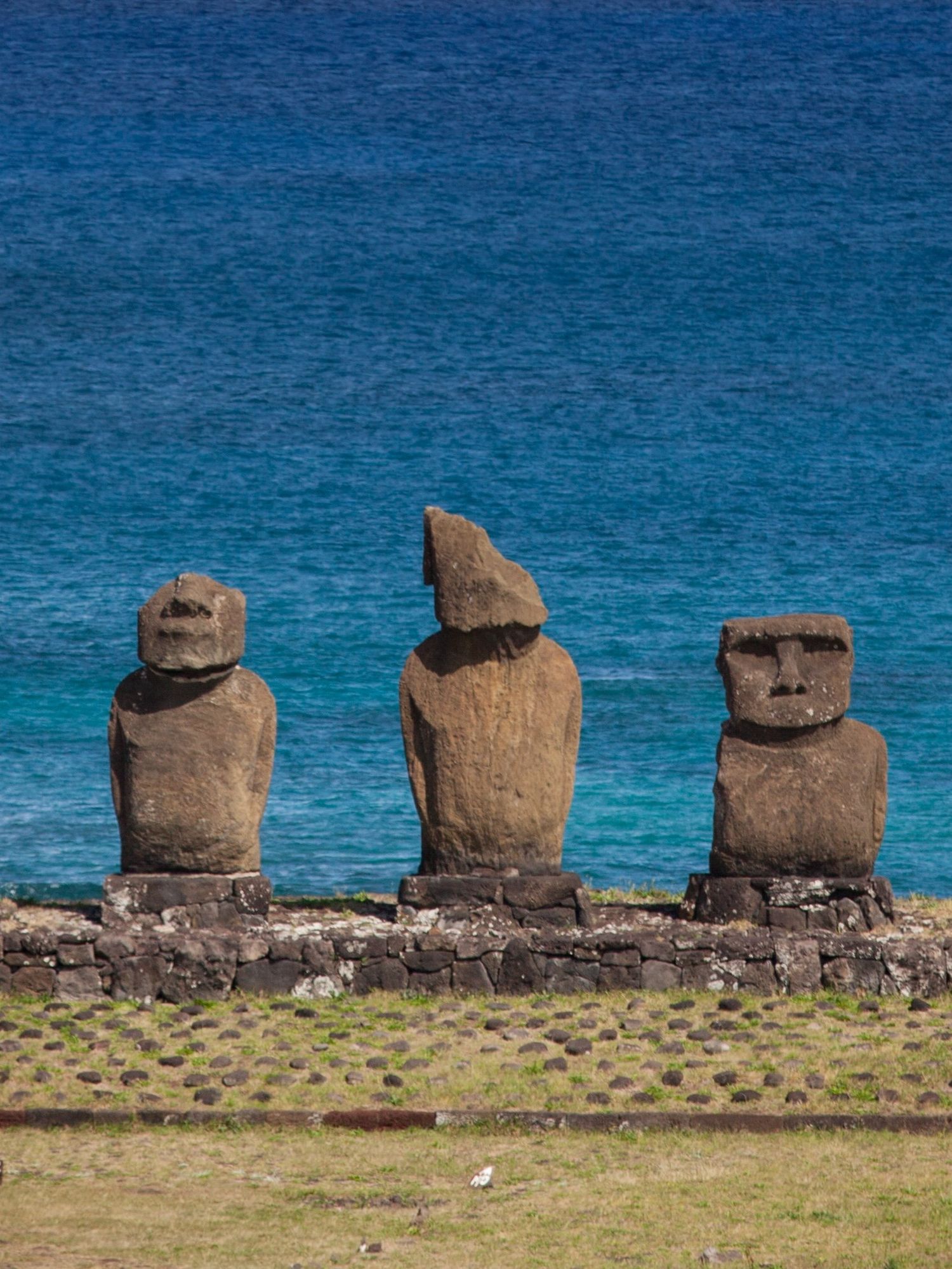 A stock image of the moai statues at Easter Island with the Pacific Ocean in the background