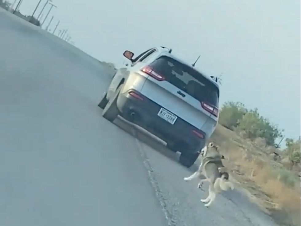 </p><p>A Texas man has been arrested in relation to the viral video</p>