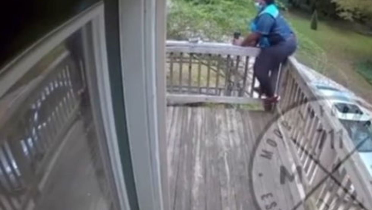<p>A TikTok user shared the video of an Amazon driver frozen with fear, as she’s scared of dogs.</p>
