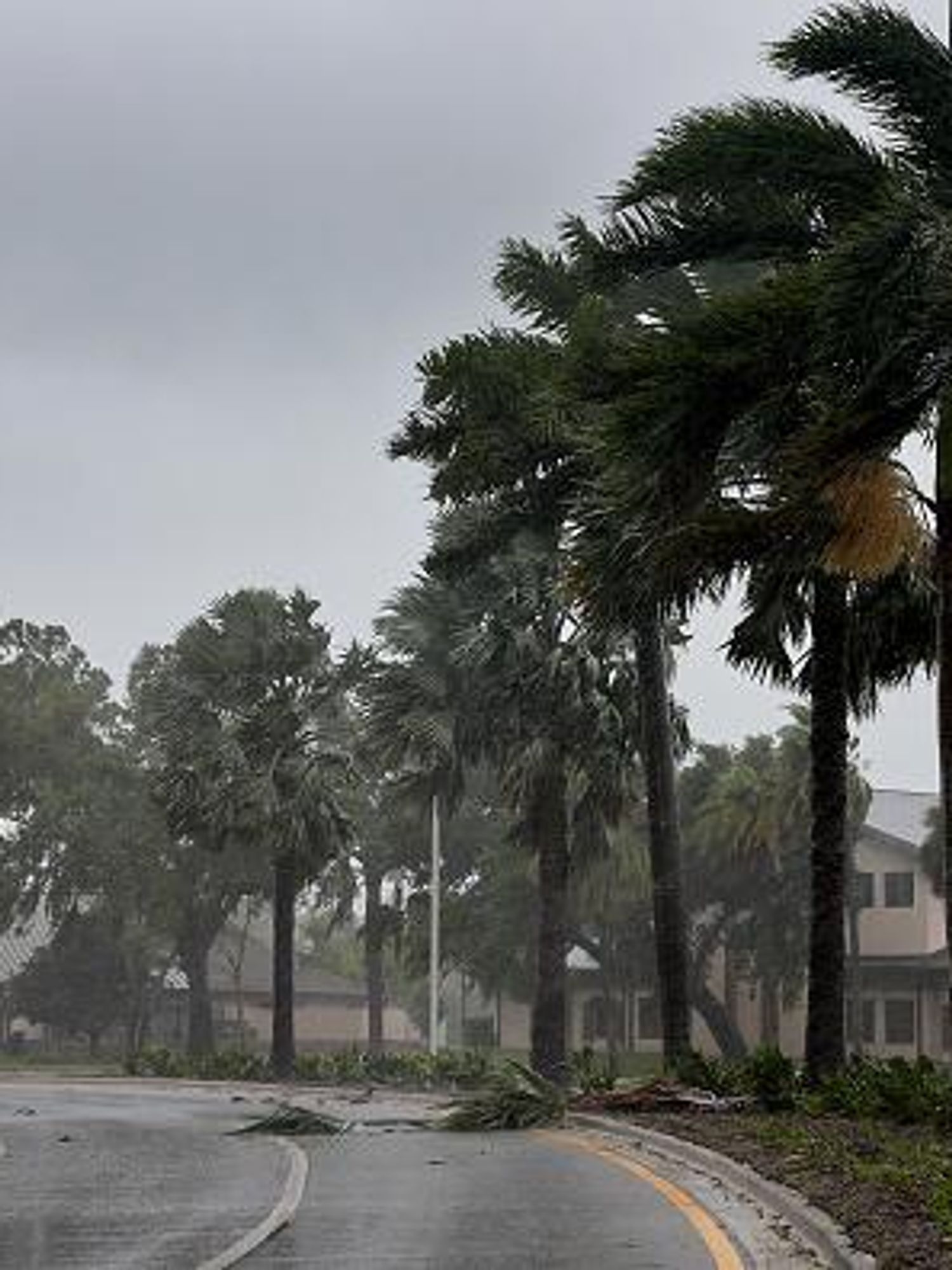 Woman releases 'hurricane ball' during Cat-4 Ian to see where the winds take it