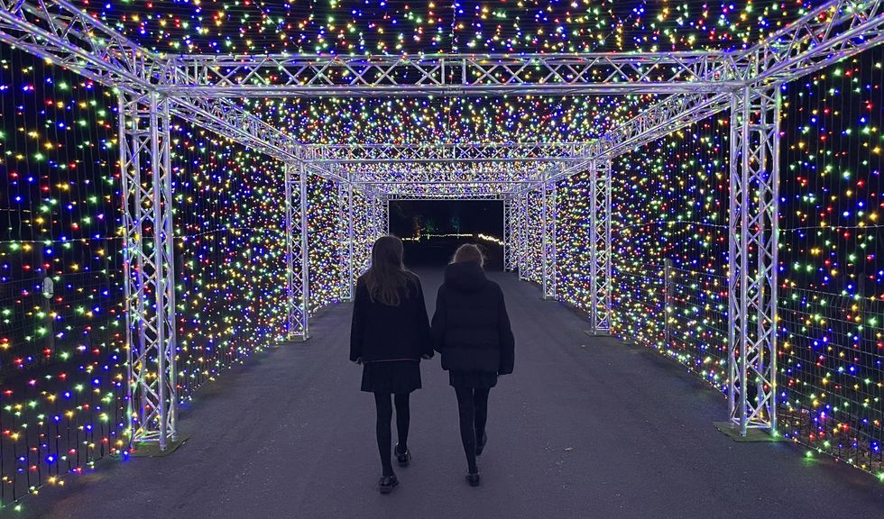 Zoo unveils winter lights display with glowing see-saws and 500,000 bulbs
