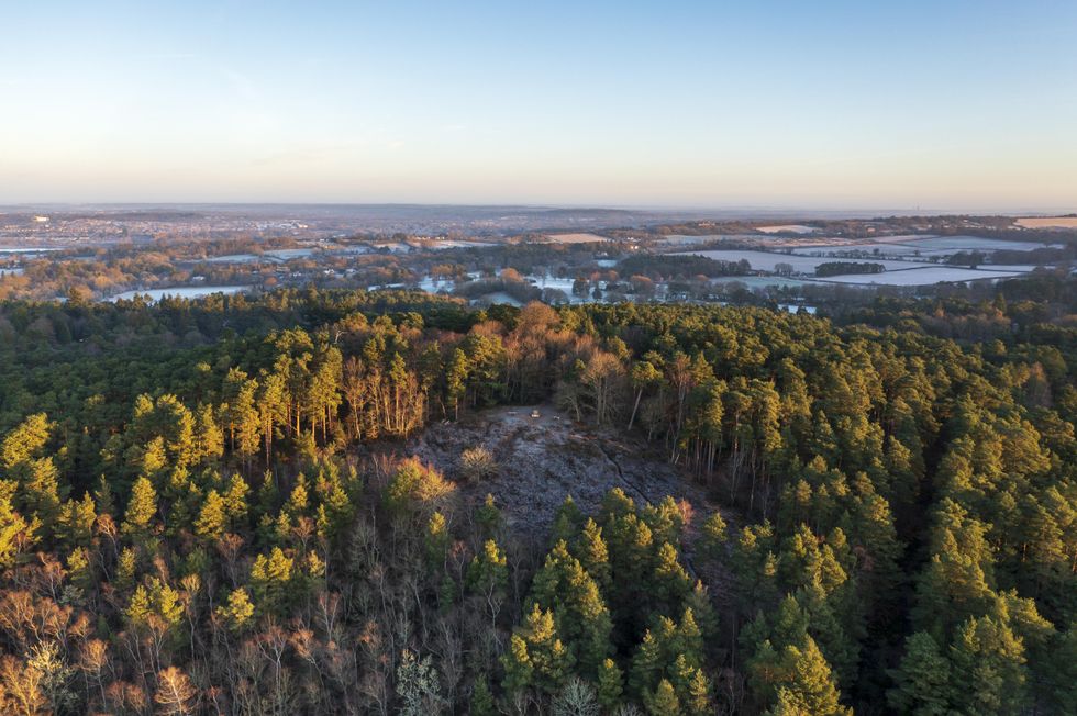 Home of ‘Devil’s Punch bowl’ in Surrey declared national nature reserve