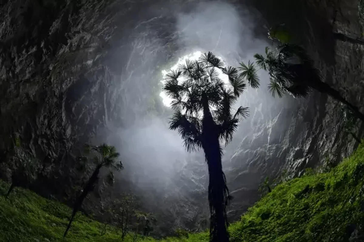 A view of the vegetation inside the Luoquanyan karst sinkhole in Hubei Province, China