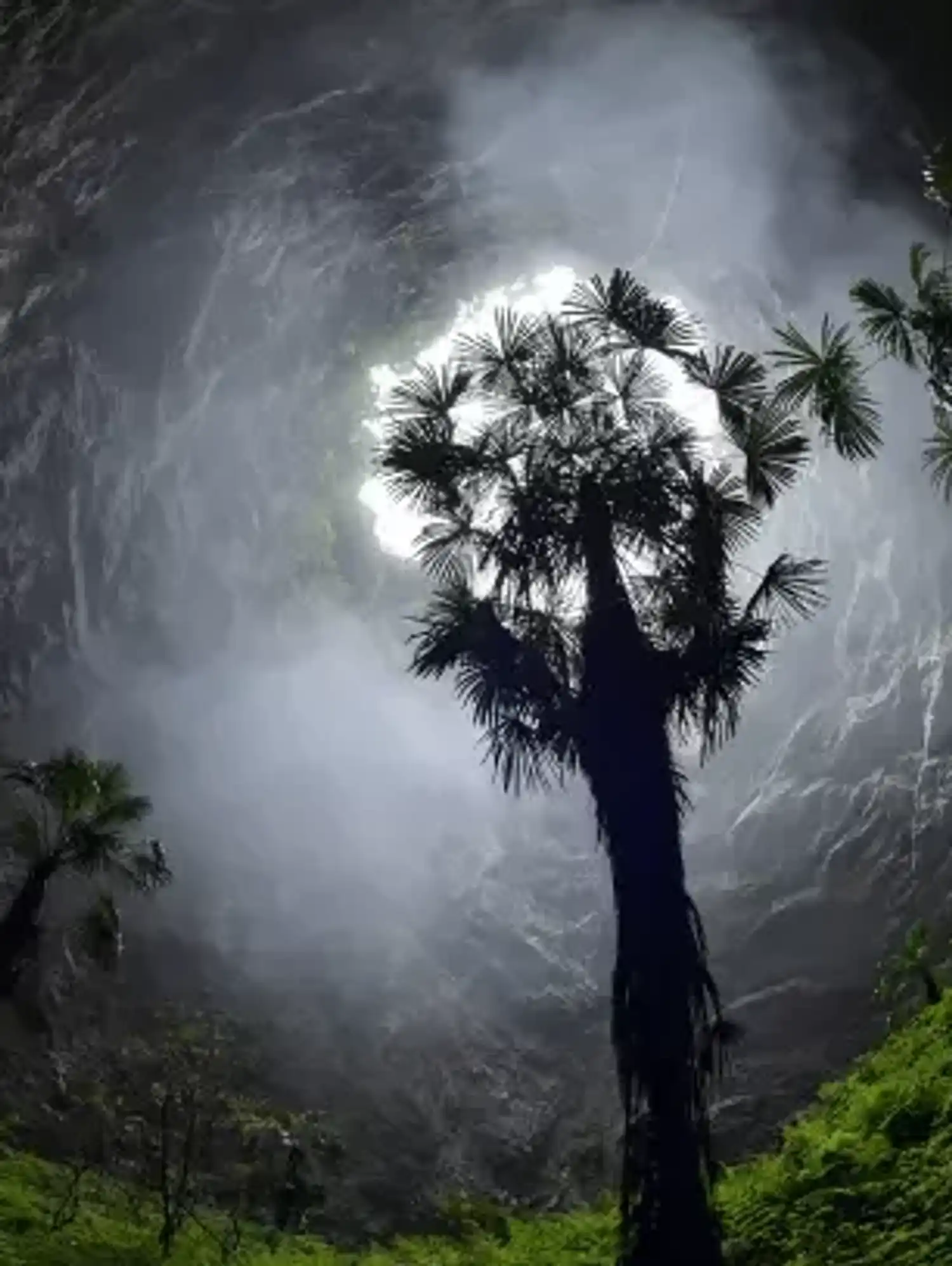 A view of the vegetation inside the Luoquanyan karst sinkhole in Hubei Province, China