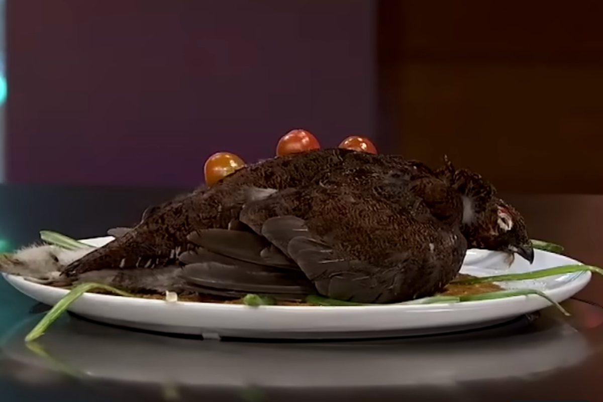 A whole partridge presented on a plate with spring onions and cherry tomatoes during season 8 of MasterChef Spain