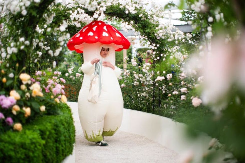 A woman dressed as a mushroom walks through a rose garden at the RHS Chelsea Flower Show