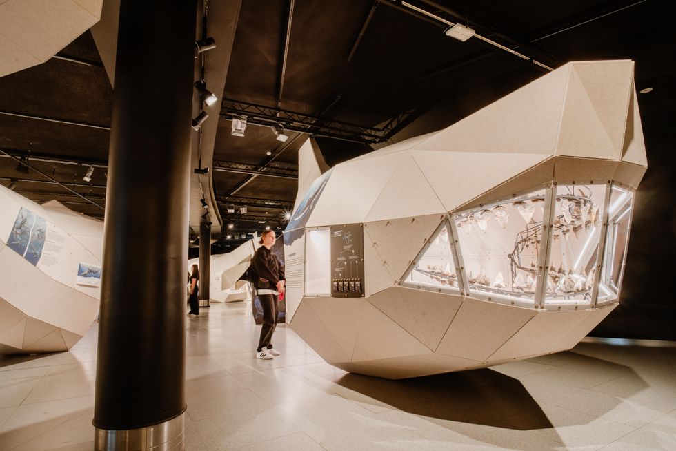A woman standing next to a life-sized 3D model of a megalodon