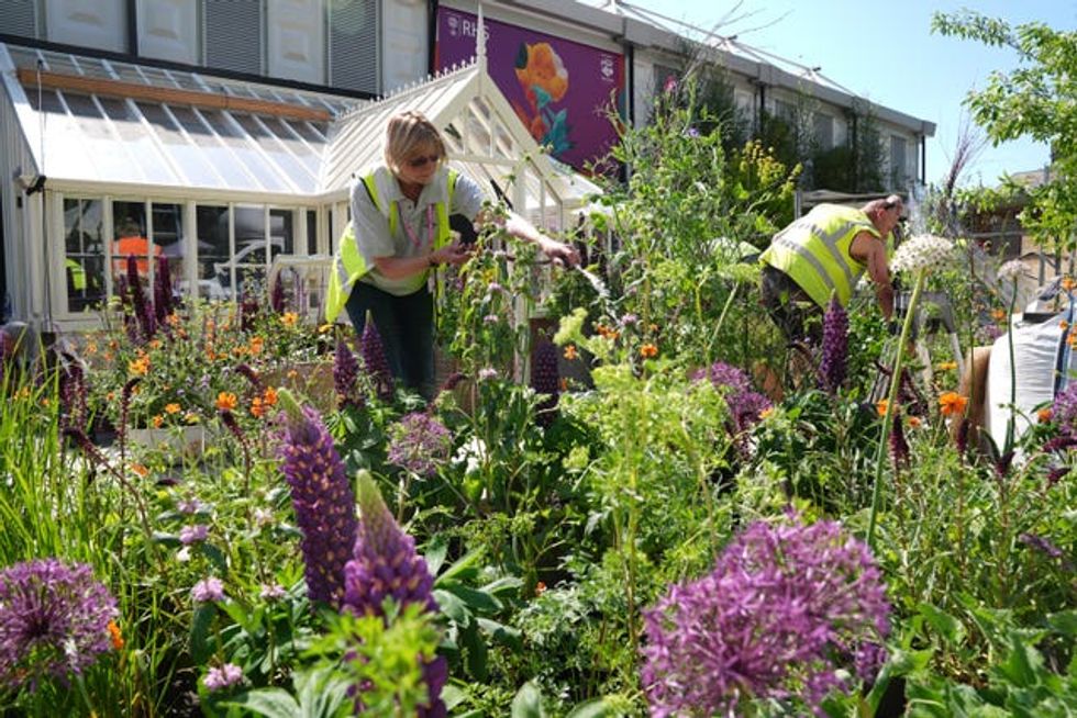 A worker waters a display at the Chelsea Flower Show