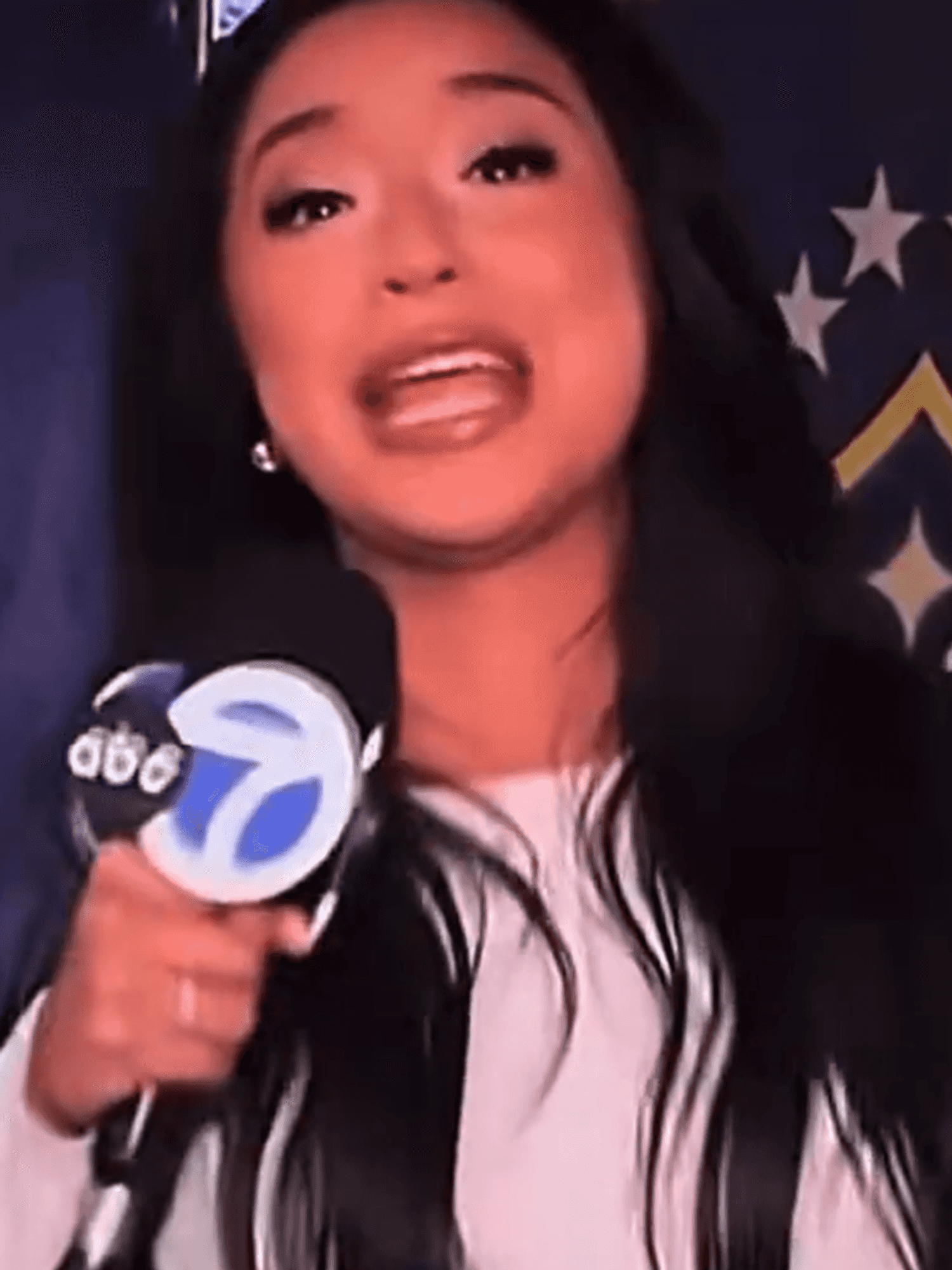 ABC7 journalist Abigail Velez
