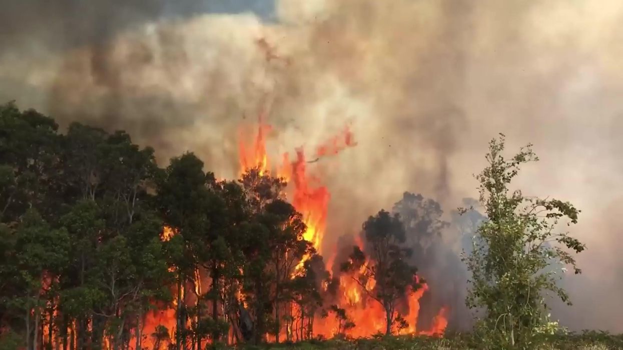 Aggressive bushfire tears through Western Australian forest near popular tourist spot
