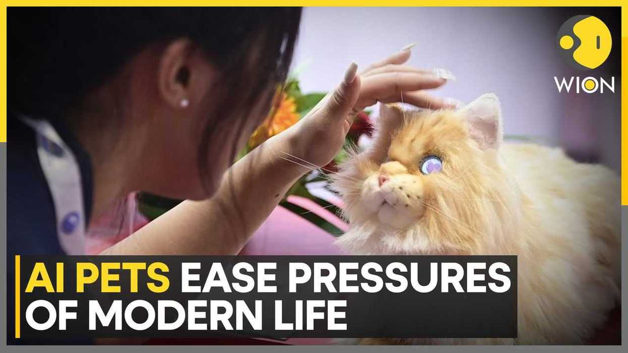 AI collar claims it can translate your pet’s sounds – and the internet has questions