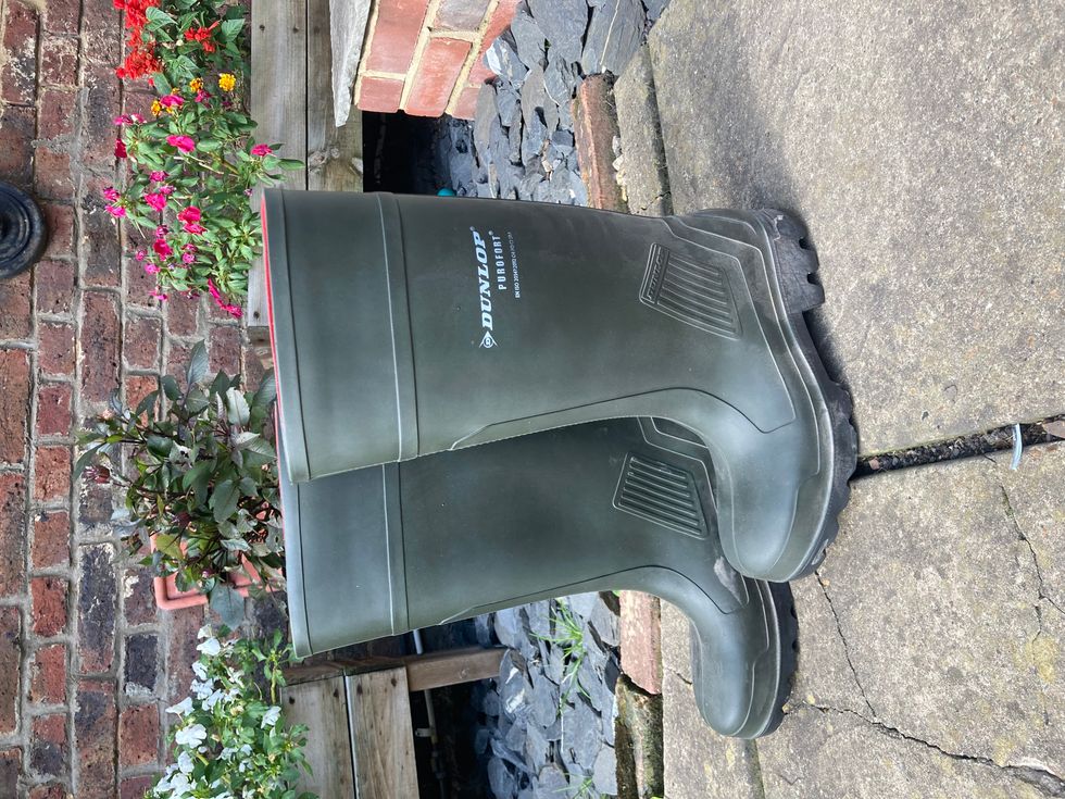 Aileen's Dunlop Purofort wellies