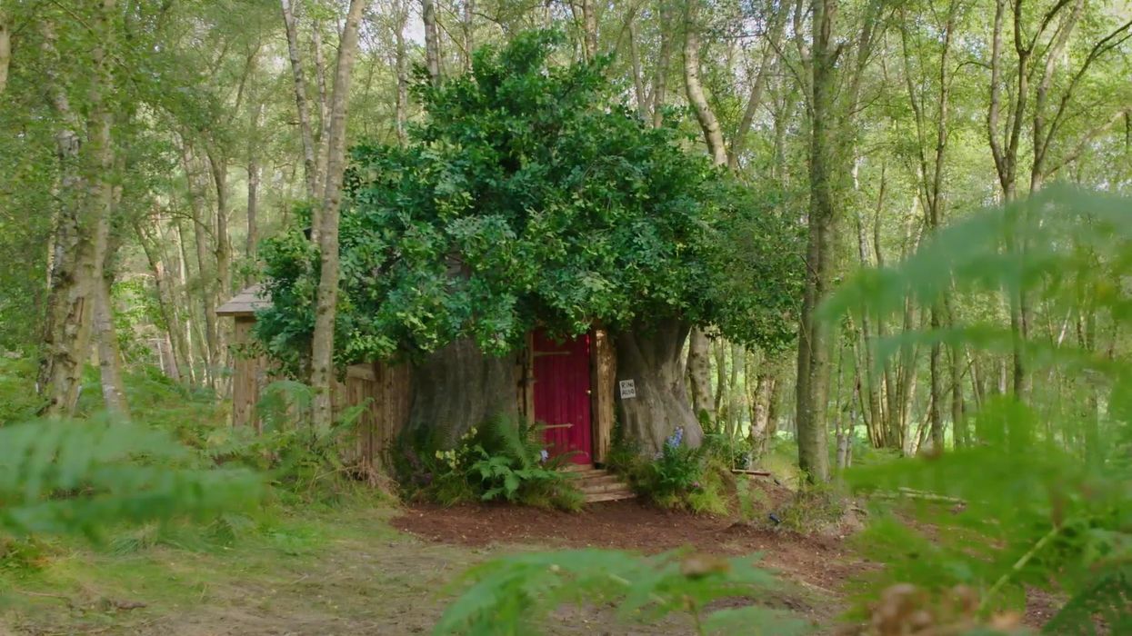People say childhood 'ruined' after seeing disturbing Winnie the Pooh horror movie