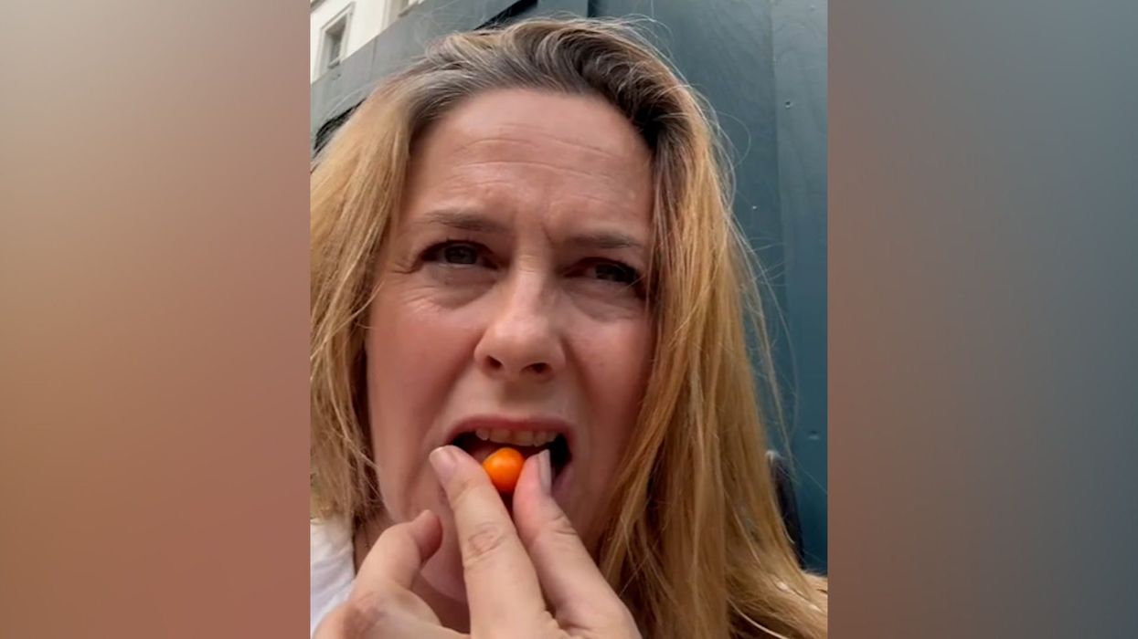 Alicia Silverstone gives update to fans after accidentally eating poison