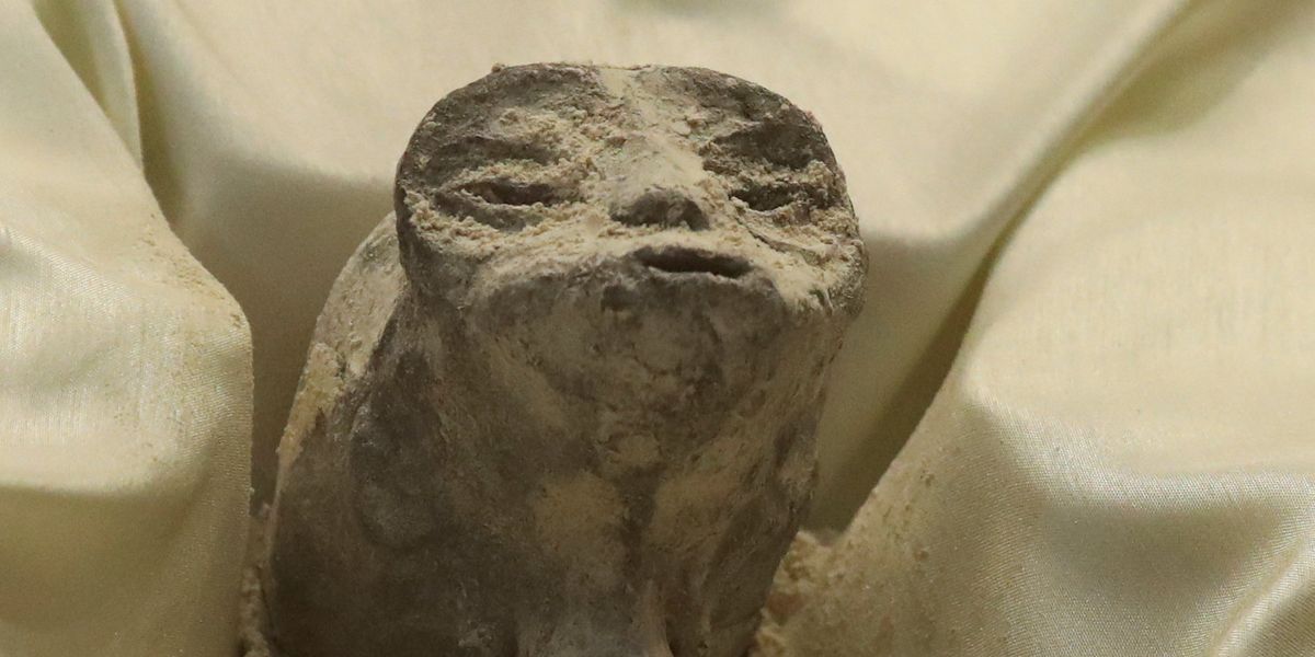 Mexico alien memes: 17 of the funniest jokes about the 'alien ...