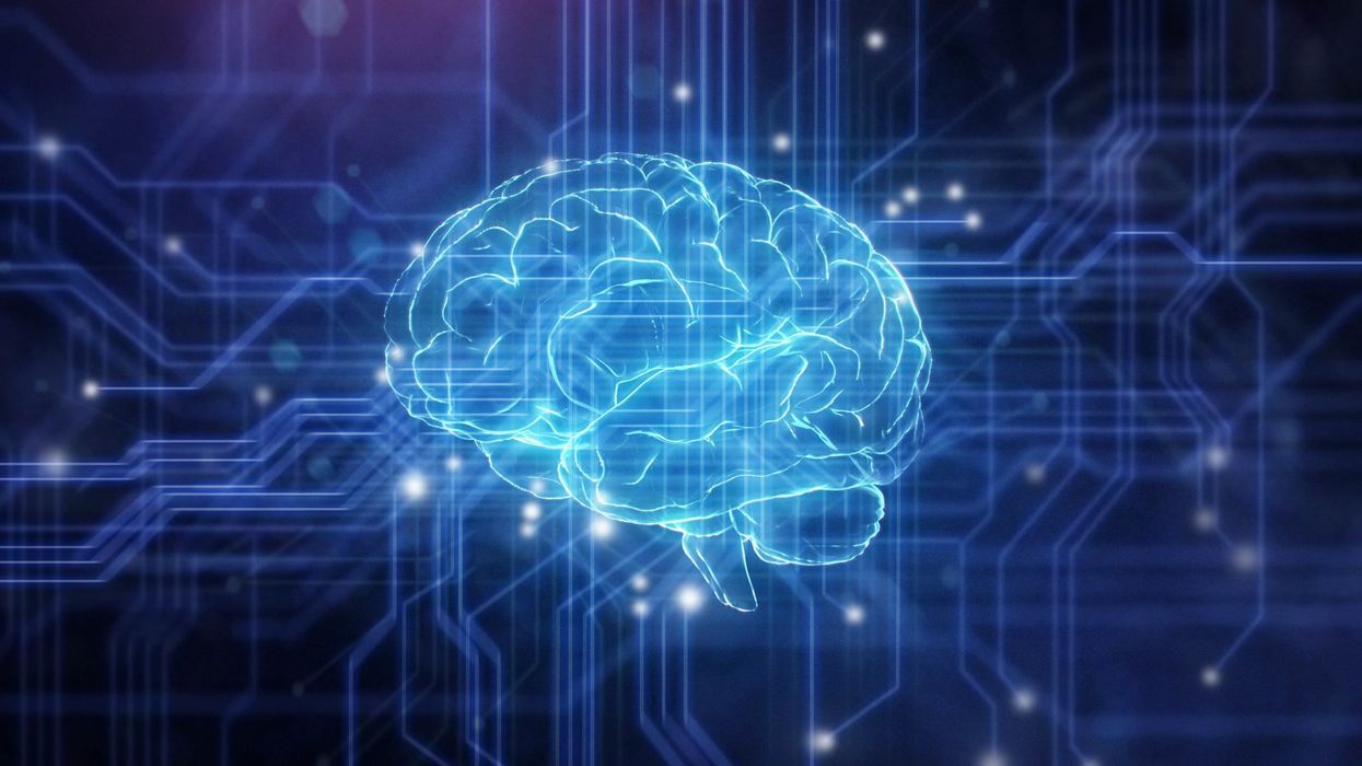 Philosopher wins 25-year-old bet with neuroscientists about consciousness