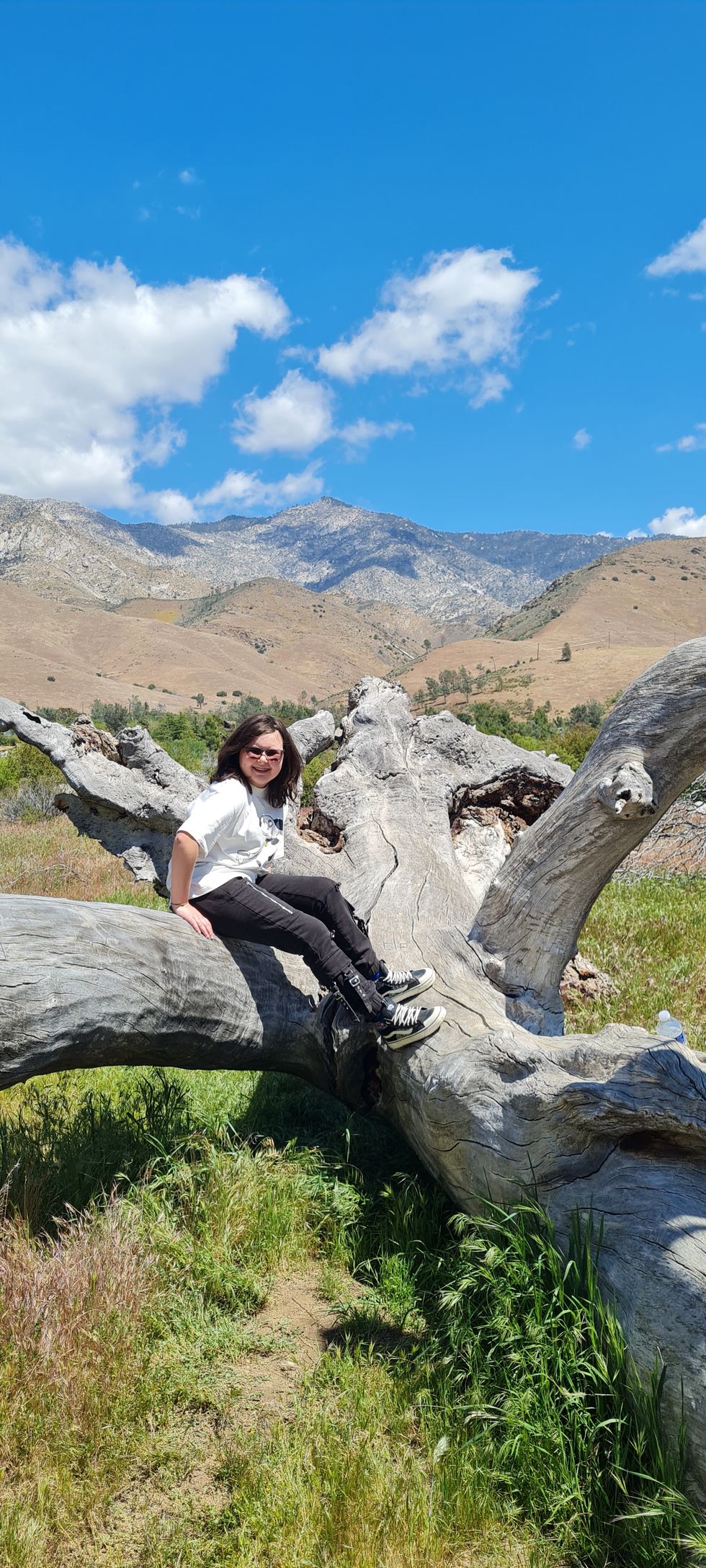 Innovative therapy gives hope to patients whose blood cancer ‘seemed incurable’