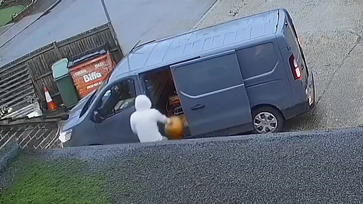 Amazon delivery driver fired after chilling dog theft