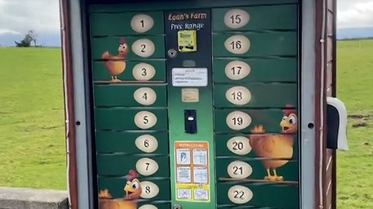 Americans think it's now better value for money to fly to Ireland for eggs