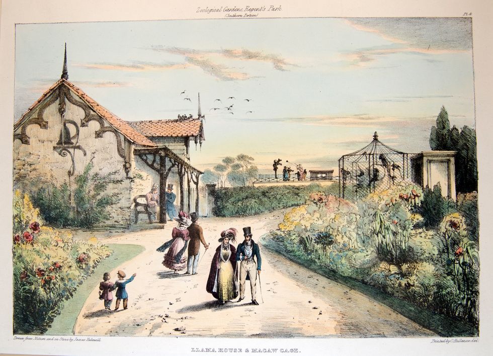 An 1831 illustration of people strolling along a path with the llama house and macaw cage in the background