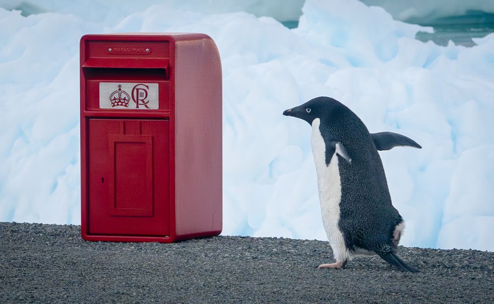 King’s special post box delivery for scientists in the Antarctic