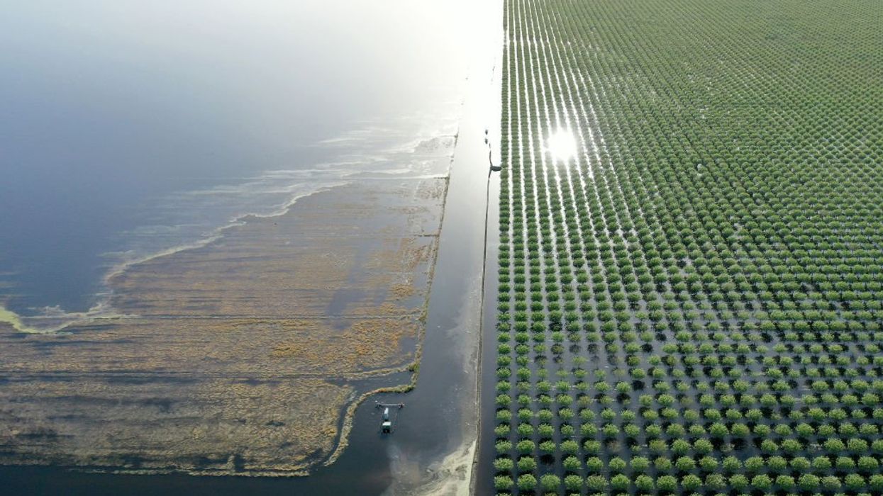 An aerial view of Lake Tululare in California
