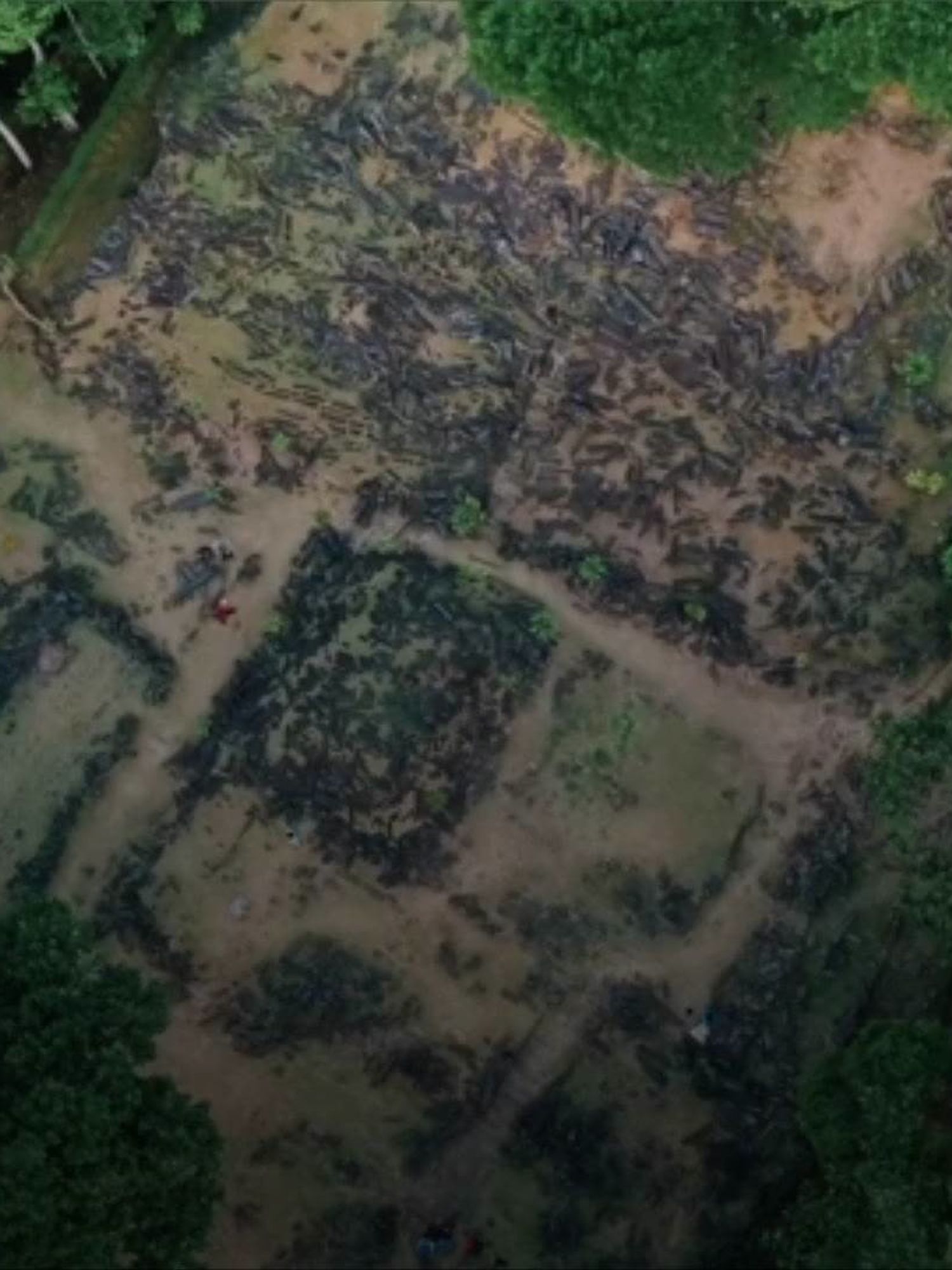 An aerial view of land in Indonesia.