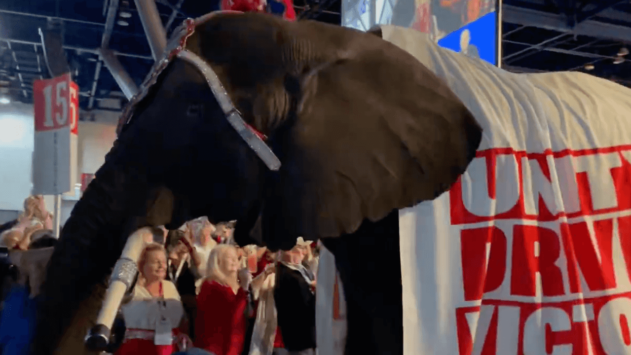 An elephant walking through a convention hall, with a banner draped over its back reading: 'Unity drives victory'.